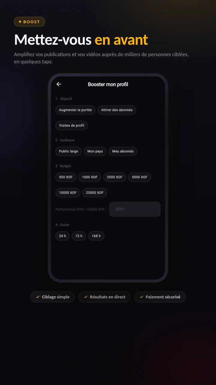 Capture réelle de Tile : le flux de boost avec objectifs, audiences et budgets